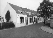 De jonge Levien